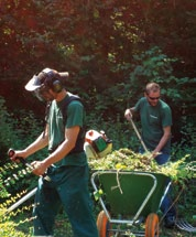 Dan treden wij graag op als adviseur en regisseur, vanuit onze groeiende rol als landschapsloket binnen de provincie Antwerpen.