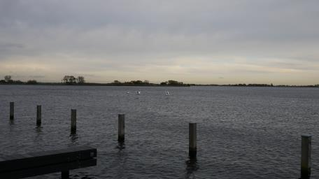 Winter op t Joppe langsvliegende zwanen! 22 januari Nestkasten maken.