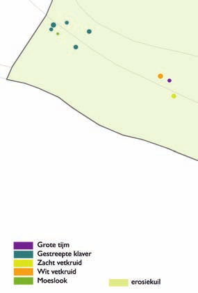 (soorten met een relatief brede ecologische amplitude kunnen bijvoorbeeld in meerdere zones voorkomen). Hieronder volgt een beschrijving van de flora per zone.