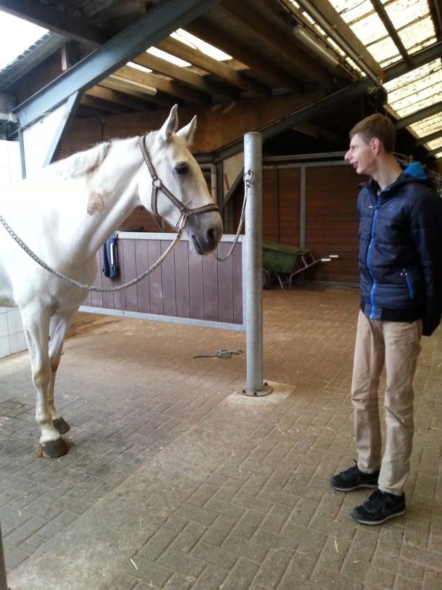 kunstjes doen op de rug van een paard welke