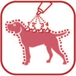 BD/2015/REG NL 106415/zaak 349626 8 Voor honden van meer dan 10 kg lichaamsgewicht: Terwijl de hond stilstaat de gehele inhoud van de Advantix pipet gelijkmatig op vier plaatsen op de rug van