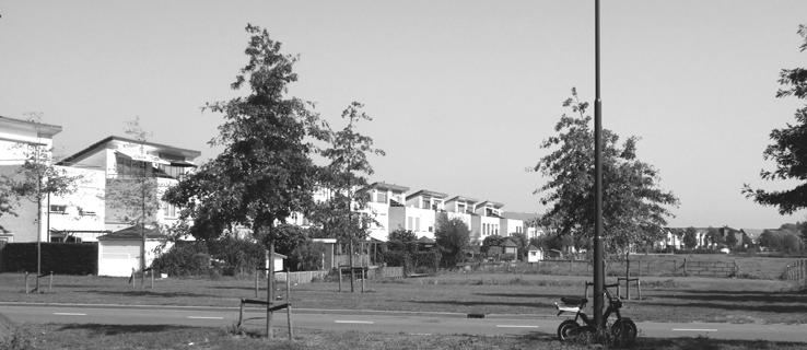 Vanaf de oplevering in 1999 hadden deze huizen van de Zegge uitzicht over de Zuidpolder, totdat in 2007 de bouw van het BEL-gemeentehuis begon (foto: Rom van der Schaaf, 2006).