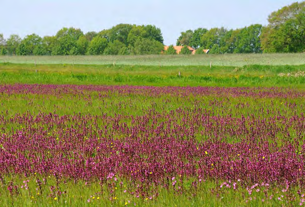 Een eindje om met Het Drentse Landschap Wandelroute t