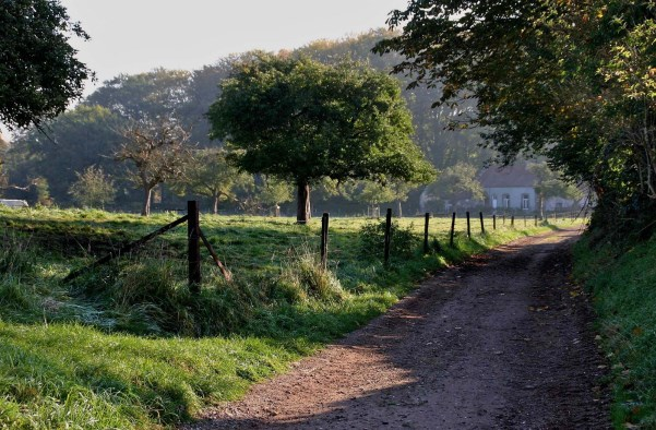 1. Holleweg Inschakelen van Holleweg als veilige fietsroute veronderstelt volgens N-VA ook dat de weg een semiverharde ondergrond krijgt die voor jonge fietsertjes (schoolkinderen tot 12 jaar) veilig