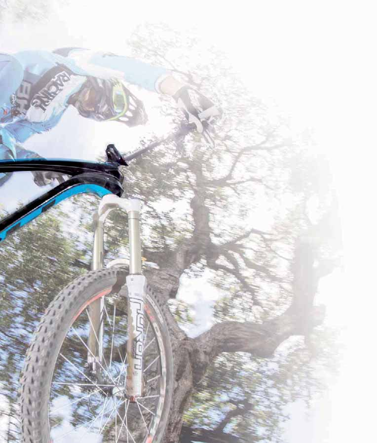 Enduro bearings Alle naven uit de Lynx-serie draaien op hoogkwalitatieve Enduro Bearing-lagers die specifiek zijn ontwikkeld om een hoge werkbelasting te verdragen bij een beperkte draaisnelheid.