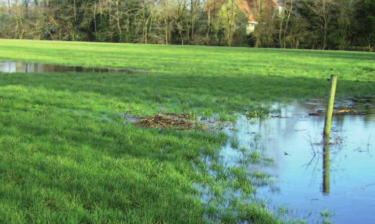 4.2.2 BELEID EN DE STRATEGIE GEWENSTE PROVINCIALE RESULTATEN Voor 2012 is door Wetterskip Fryslân een gebiedsdekkende kaart opgesteld met daarop normen voor regionale wateroverlast.