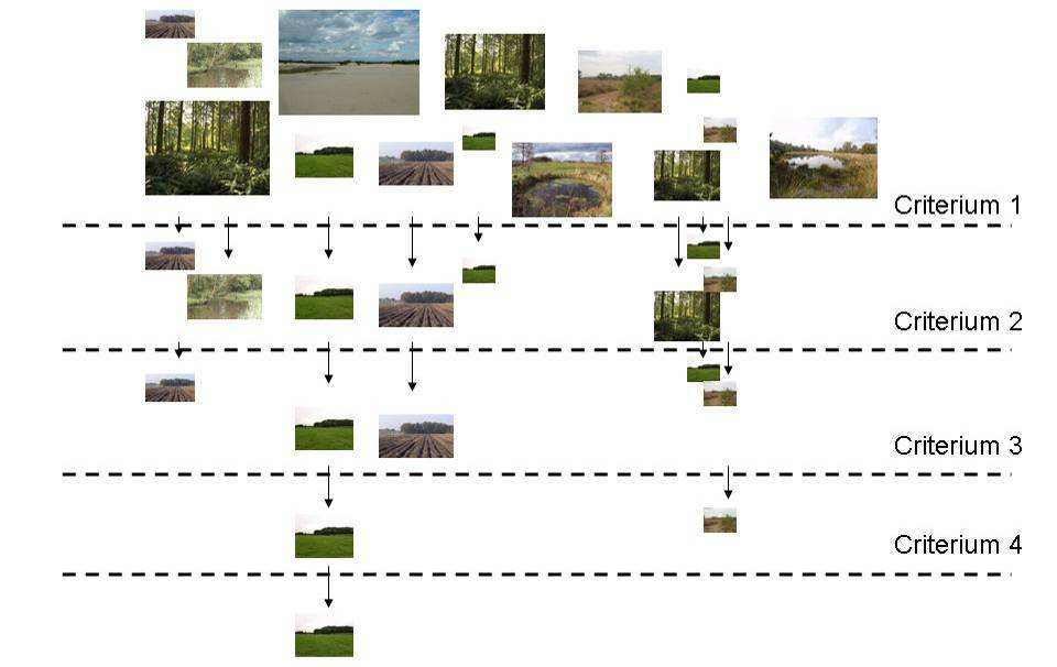 Figuur 1 Schematische weergave van het gebruik van ecologische criteria om de EHS in Brabant te beoordelen. Elk fotootje geeft een deel van de EHS weer. De stippellijnen geven de filters weer.