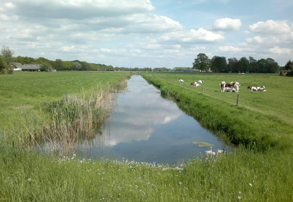 Projectplan Witteveens Leiding Onderdeel van het programma Ruimte om te leven met water Opsteller: