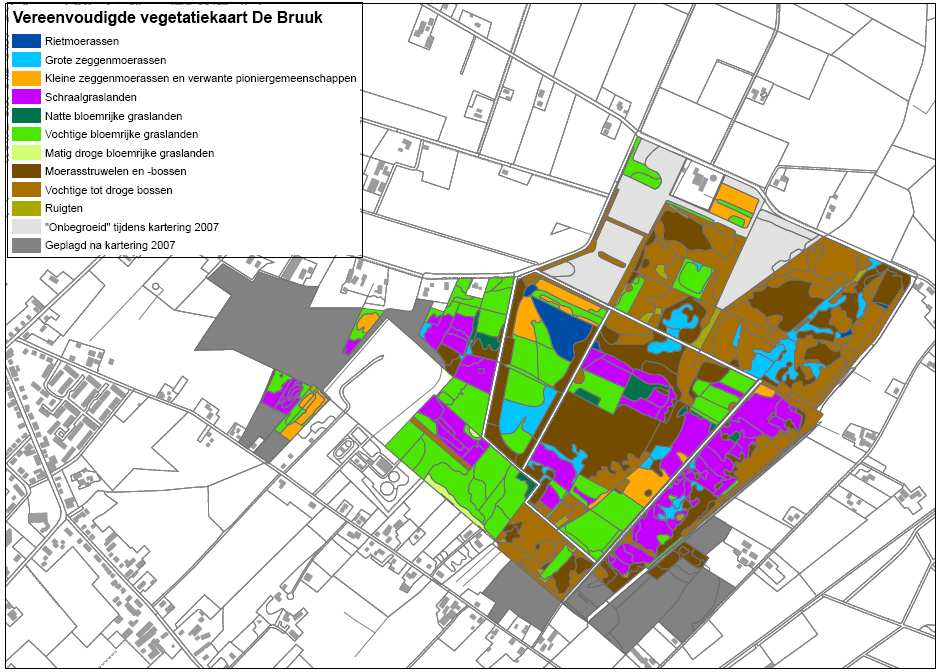 Figuur 3.19 Sterk vereenvoudigde vegetatiekaart De Bruuk (bewerking Jongman, M. & F.H. Everts, 2008).