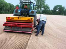 Waar Engels raaigras zorgt voor een goede vulling van de mat, maken de ondergrondse horizontale uitlopers (rizomen) van veldbeemd het grasveld pas tot een échte zode; dicht, stevig verankerd en