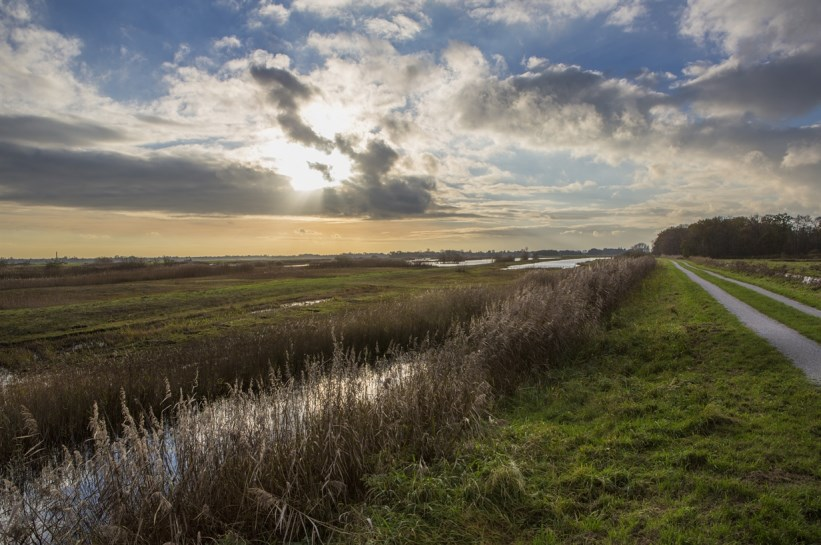 foto Maarten Koch: Oostelijke Vechtplassen 3.