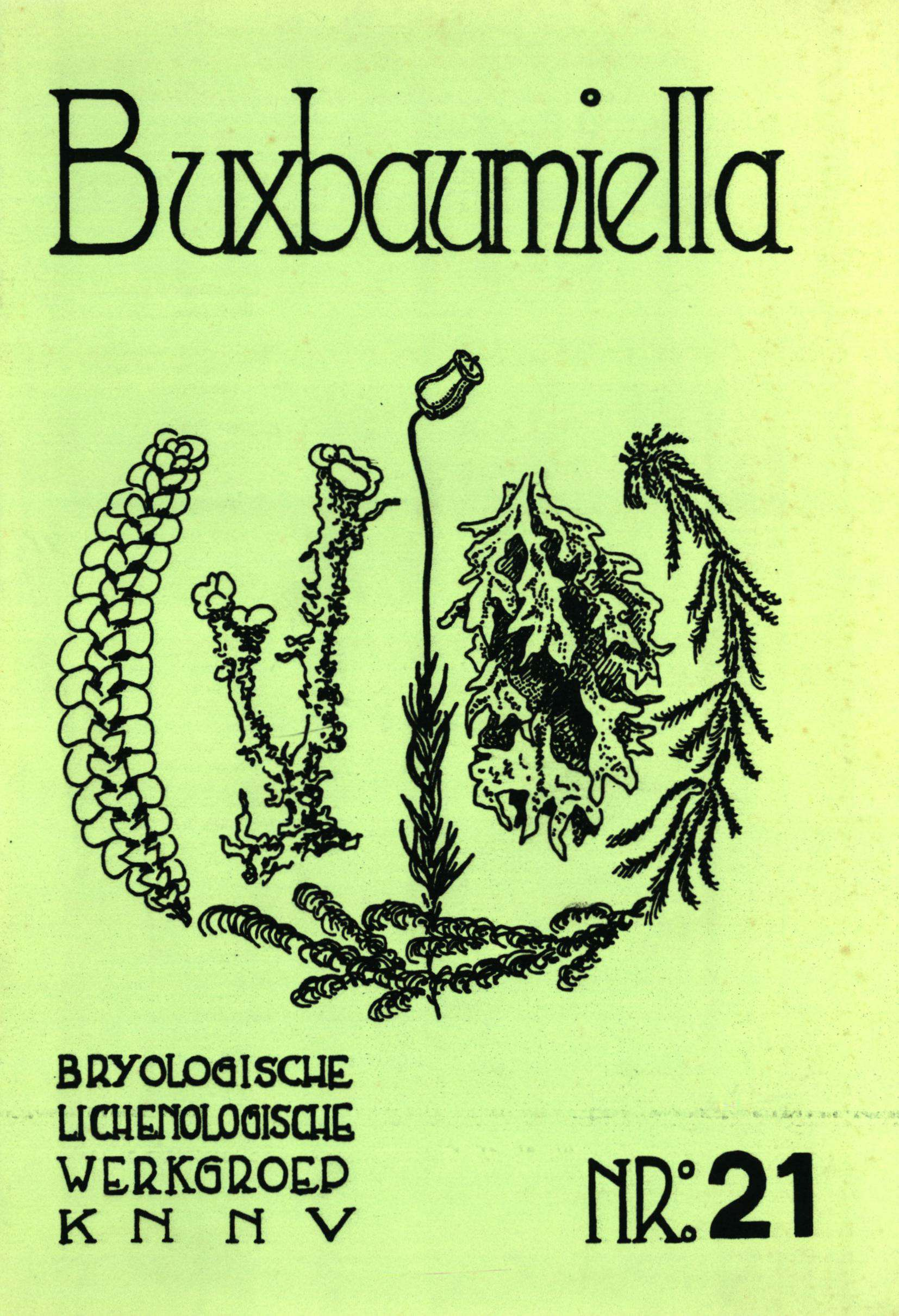 Buxbaumiella BRyOLOQISCUE