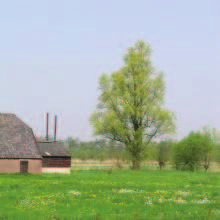 Soorten hand/stoof smaak/kleur bloeitijd pluktijd Houdbaar ziektes Peren Saint Remy stoofpeer zoet vroeg begin sept zeer goed gevoelig Cultuurhistorische waarde Een solitaire boom of bomengroep werd