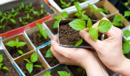 - Dinsdag 14 maart: - Tweede leerjaar B: Tuinactiviteiten met meester Mathias (briefje volgt nog in weekbericht)!