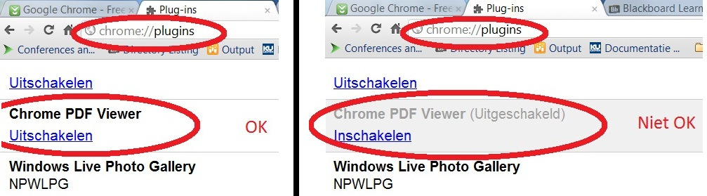 Google Chrome 1. Typ in de adresbalk van Chrome: about:plugins 2.