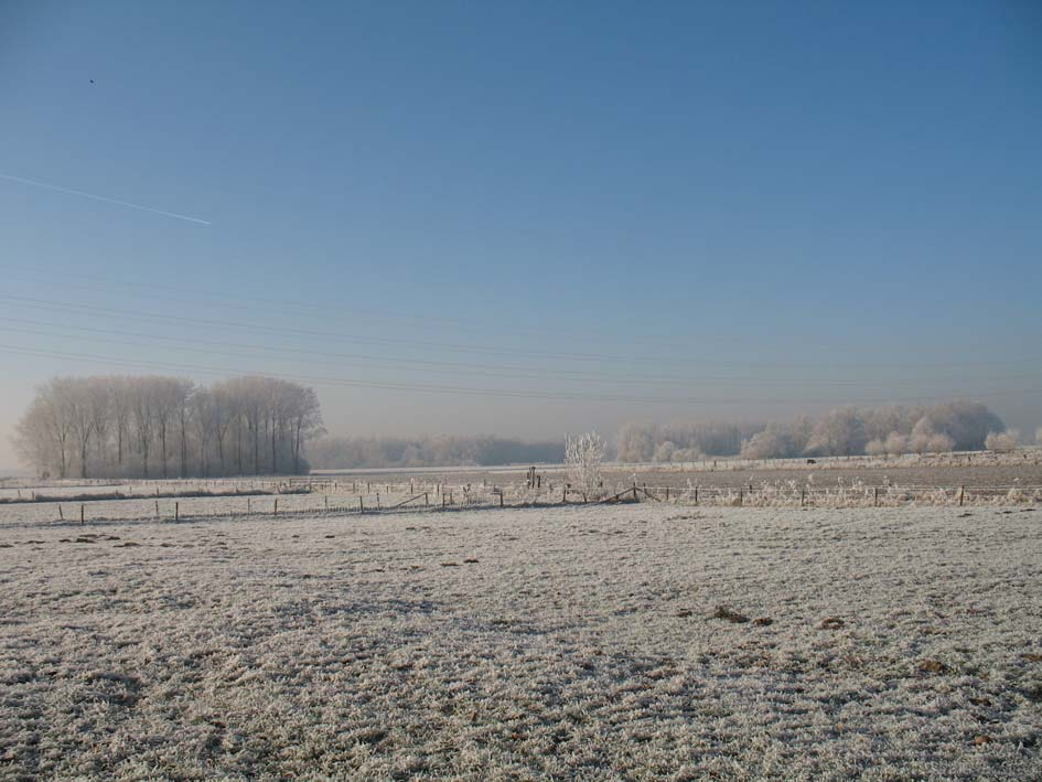 Mens-effectrapportage varkensvleesfabriek Laarstraat in Etten In dit gebied, zogenaamd "zonder landschappelijke