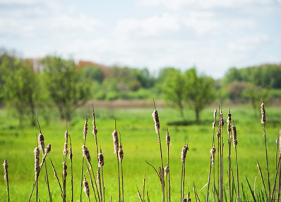 klimaatplafonds Actief gebouw waar ecologie en gebruiksvriendelijkheid centraal staan PV installatie op het dak is mogelijk Zonwerende beglazing Verse luchttoevoer