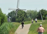 Sloterplas Oostoever Vleermuizen en vlinders Het Christoffel Plantijnpad heeft een sterke aantrekkingskracht op vleermuizen en vlinders.