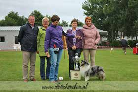 Clubmatch KC op zondag 10 juli 2016 Foto s Fotohonden en Virginia Ponder Wat heb je een mooie hond krijg je vast en zeker regelmatig te horen en wat is hij lief.