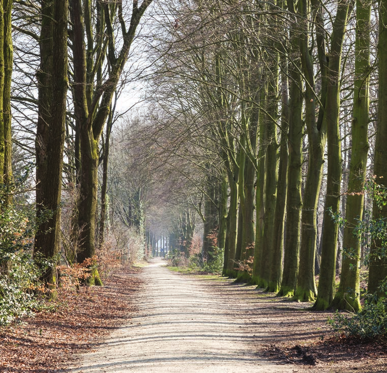 vormen met veel glas.