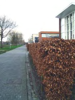 opdrachtgeverschap. Middels het bestemmingsplan zijn voor dit gebied bebouwingsvlakken aangegeven, waarbij is getracht een open ruimtelijke structuur te waarborgen.