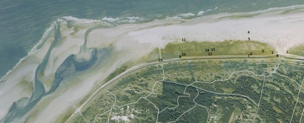 Het Groene strand van Schiermonnikoog: de geboorte van een duinvallei Jan-Erik Plantinga 3 Op Schiermonnikoog bepalen wind en water samen met de vegetatie plaatselijk nog in sterke mate hoe het