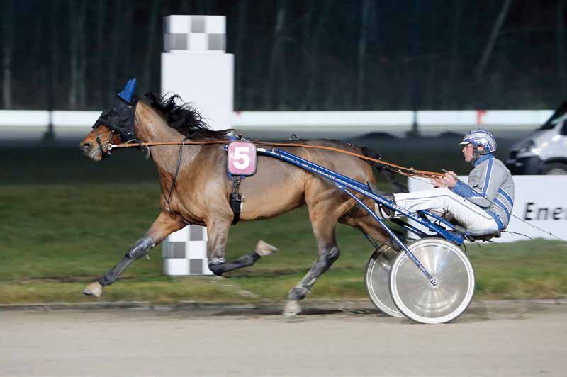 7 PRIX EUROFINISH.NL (MAIN WISE AS CHALLENGE) 20.10 U. Draverij van meet. Winsom tot 1.850. (g.l.s.) Dotering: 4400 (2000, 750, 500, 300, 200, 150, 100 en 10% fokpremie) 2100 autostart l.