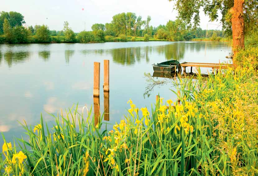 De bijzondere natuur langs de 0ude Durme krijgt straks nog meer kansen.