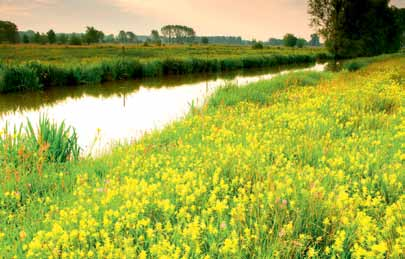 De cluster Kalkense Meersen bestaat uit vijf deelprojecten met elk een eigen rol, de nadruk ligt er vooral op natuurontwikkeling.