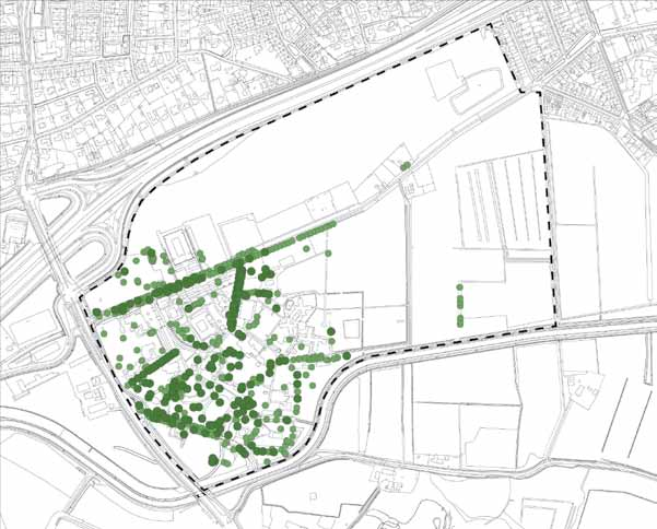 Bestaande bomen en boomstructuren op Landgoed Coudewater vormen de groene contramal.