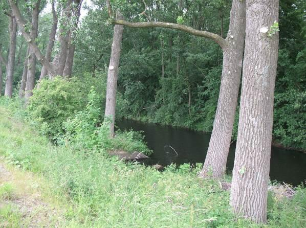 3 Nadere uitwerking gekozen oplossingen In onderstaande uitwerking ligt de nadruk op de functies die de verschillende structuren hebben voor vleermuizen.