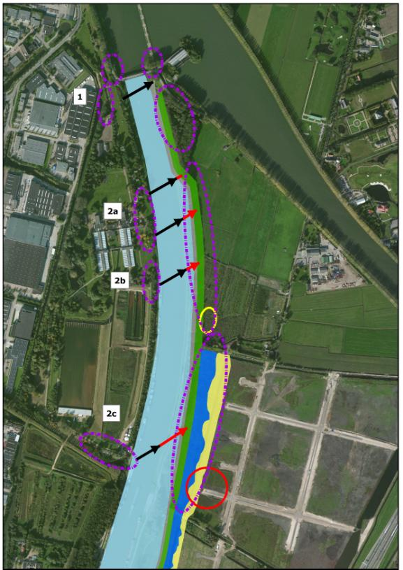 oversteek. Via deze route komen de vleermuizen uit de meest noordelijke groep op het Eiland van Schalkwijk.