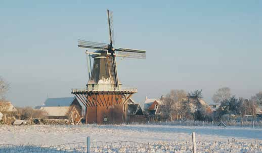 Dark Rosie in het Koedijks Cultuurtje Op 11 december staat de Noord-Hollandse groep Dark Rosie in het Cultuurtje. De groep maakt akoestische luisterliedjes.