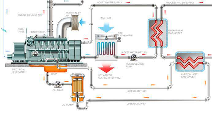 3.8 Bio-E versus Bio-WKK Bio-Energie Wuit SURPRISE