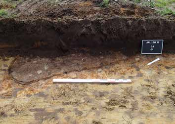 Archeologisch vooronderzoek Maria-Aalter - Leegweg 2015 15 De hoogst gelegen zone bevindt zich in het zuidoosten van het terrein, waar het archeologisch niveau gelegen is op een hoogte van circa