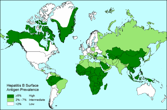 Hepatitis B