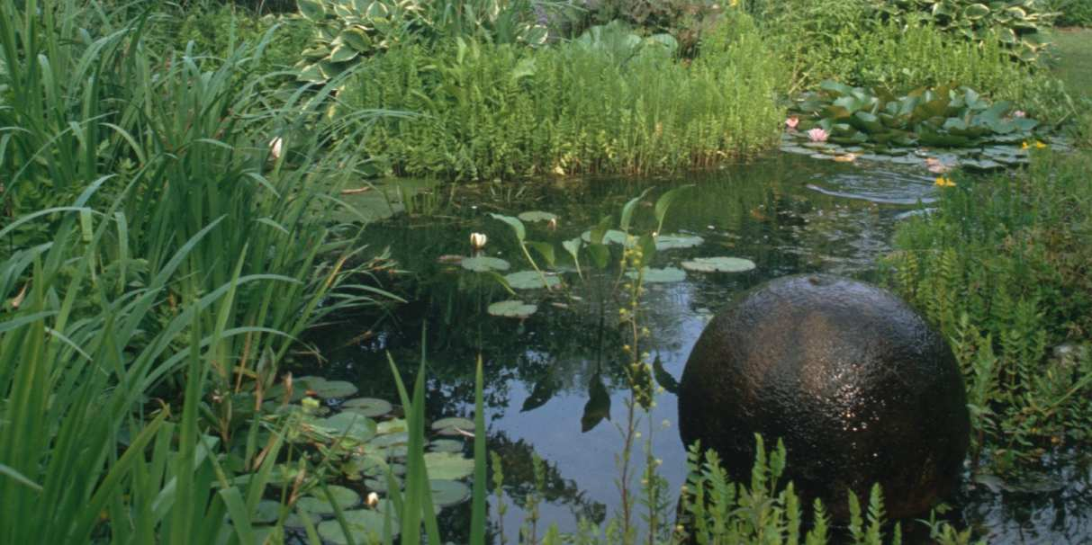 Meer kennis Weinig biodivers Biodivers Korte sierwaarde Langere sierwaarde Saai Dynamisch