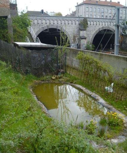 gemeenschappelijk tuinieren en kennisuitwisseling omtrent teelt en permacultuur S.R.A.B.