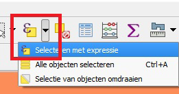 Voer een expressie in, bijvoorbeeld percentage_niet_westerse_allochtonen >