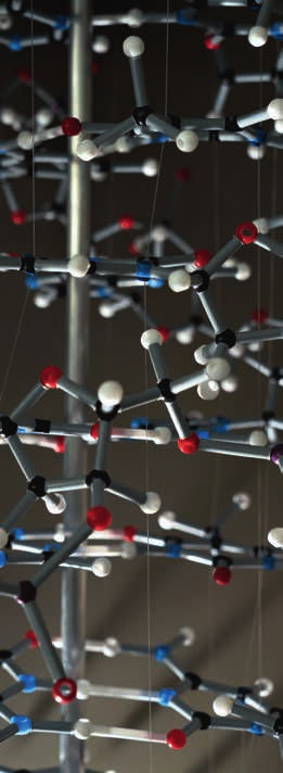 Chemie binnen de FACulteit Wetenschappen versus aanverwante opleidingen Precies omdat geen enkele wetenschapper zonder chemie kan, zal je het vak chemie terugvinden in nagenoeg alle studierichtingen