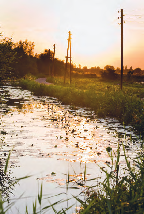 Digitale nieuwsbrief In voorgaande jaren heeft Rijnland u via twee nieuwsbrieven op de hoogte gesteld van de maatregelen die Rijnland in de Nieuwkoopse Plassen toepast.