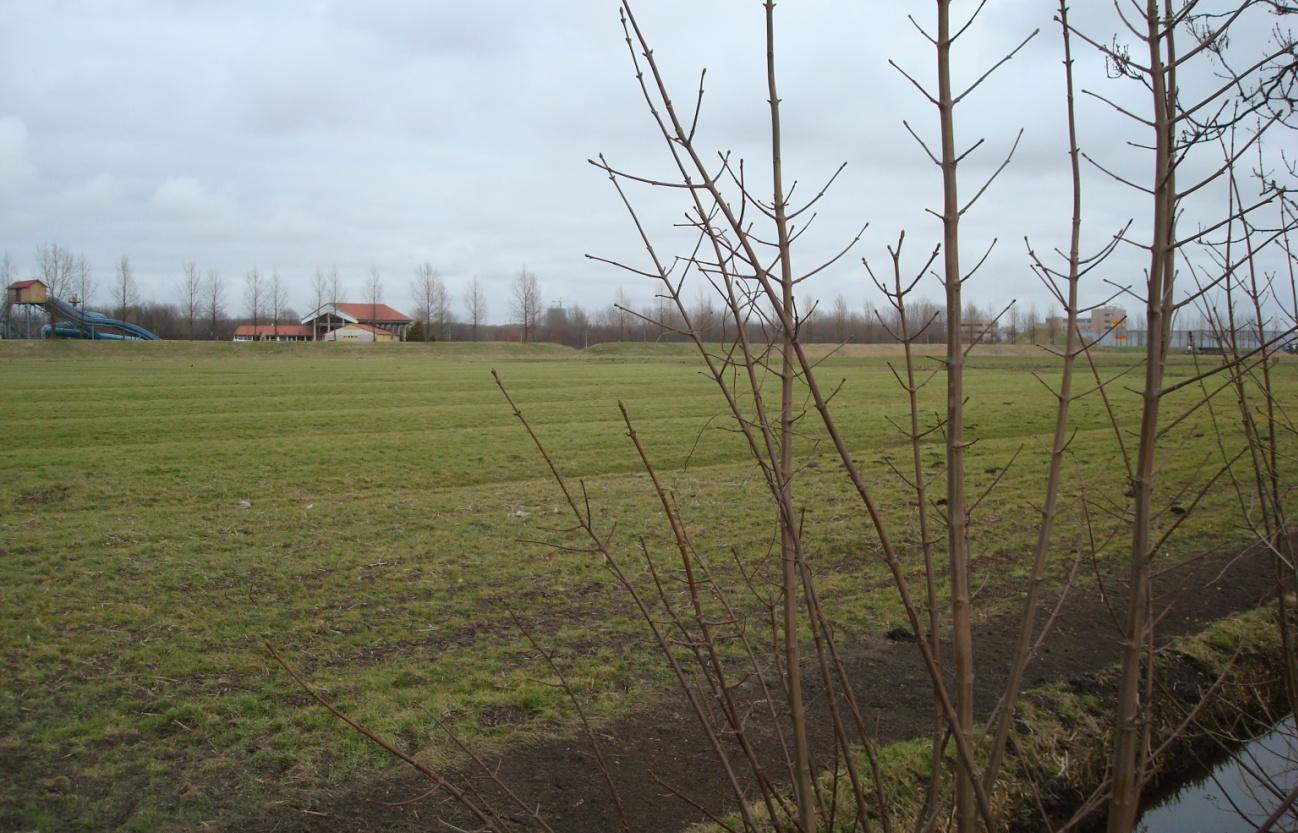 Bij variant C4+300 begint de Rotterdamsebaan als nieuwe aftakking op het bestaande kruispunt aan de zuidoostzijde van de Laan van Delfvliet.