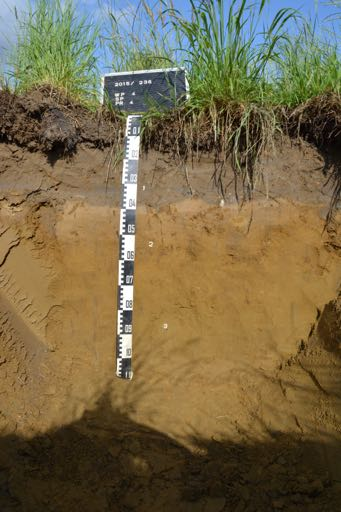 Het archeologisch vooronderzoek aan de Rode Broekstraat, Pieter Paul Rubensstraat te Profiel PR4 1. Algemene gegevens 1. Beschrijver: Vanessa Vander Ginst, Studiebureau Archeologie. 2.