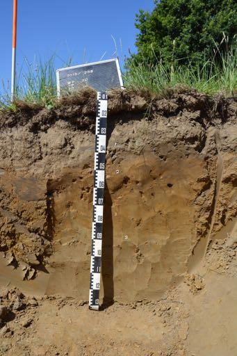 Het archeologisch vooronderzoek aan de Rode Broekstraat, Pieter Paul Rubensstraat te Profiel PR20 1. Algemene gegevens 1. Beschrijver: Vanessa Vander Ginst, Studiebureau Archeologie. 2.