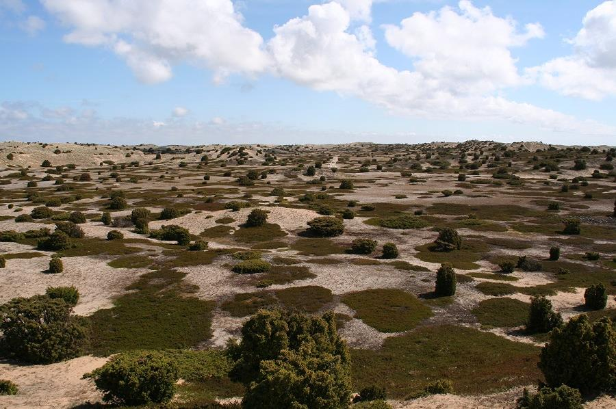 6 Hoe ziet straks onze natuur