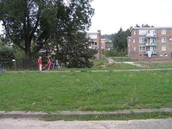 In het westelijk deel van de Scheelenstraat zijn een kinderdagverblijf en een basisschool gevestigd. De structuur van het Westelijk beekdal is helder.