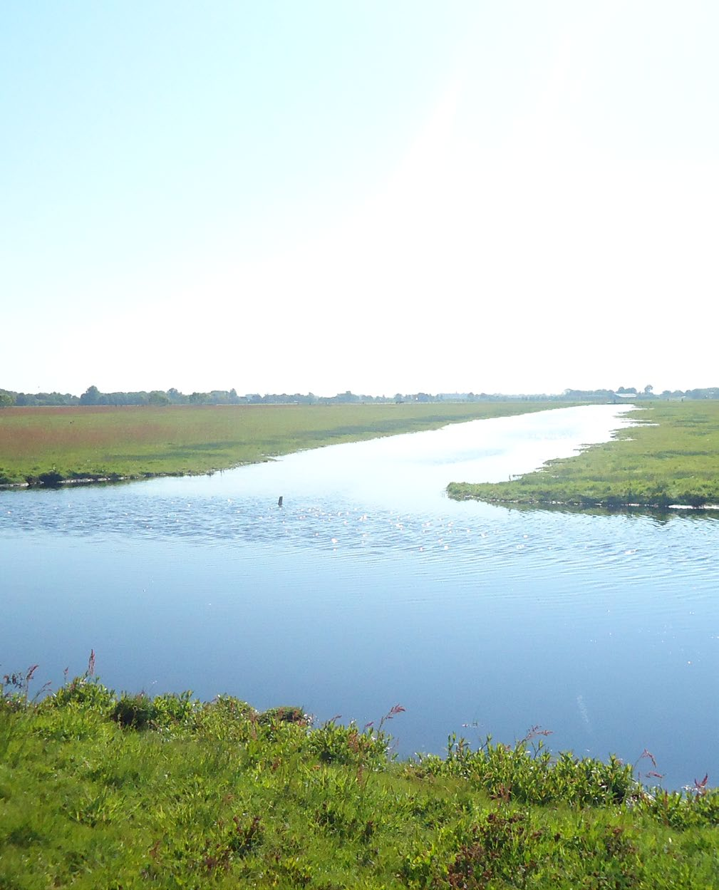 Ontwerp Natuurbeheerplan 2016 Noord-Holland Provincie