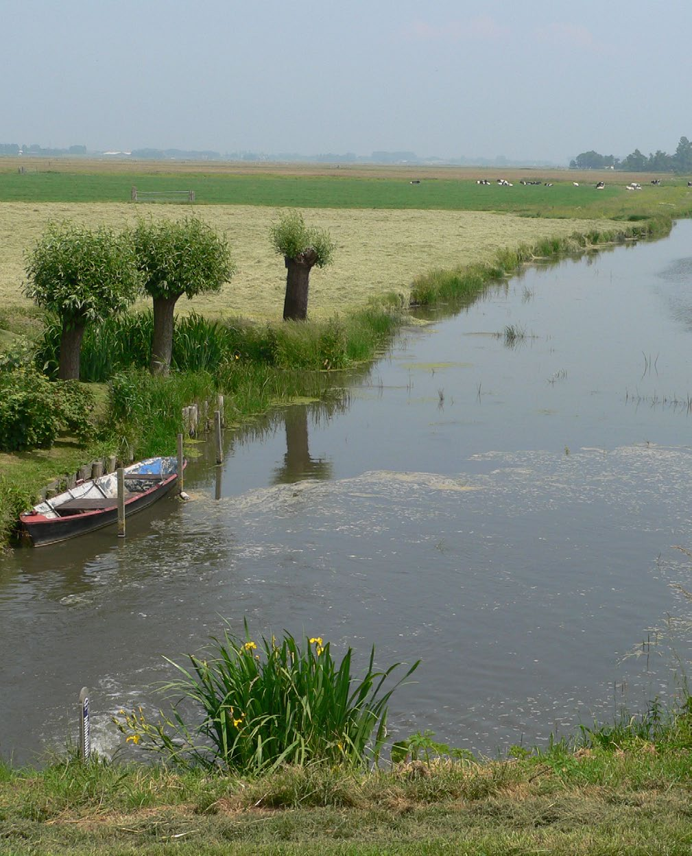 Ontwerp Natuurbeheerplan 2016 Noord-Holland Provincie