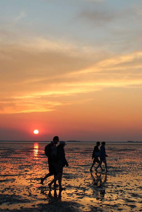 Texel Op Texel is veel actie ondernomen om te komen tot energiebesparing en het lokaal opwekken van duurzame energie, vooral met zonne- en kleinschalige windenergie.