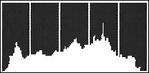 Histogramweergave In de schermweergave van één foto kunt u het histogram en de pictogrammen van alle functies oproepen die u tijdens het opnemen hebt gebruikt (Exif- informatiepaneel).